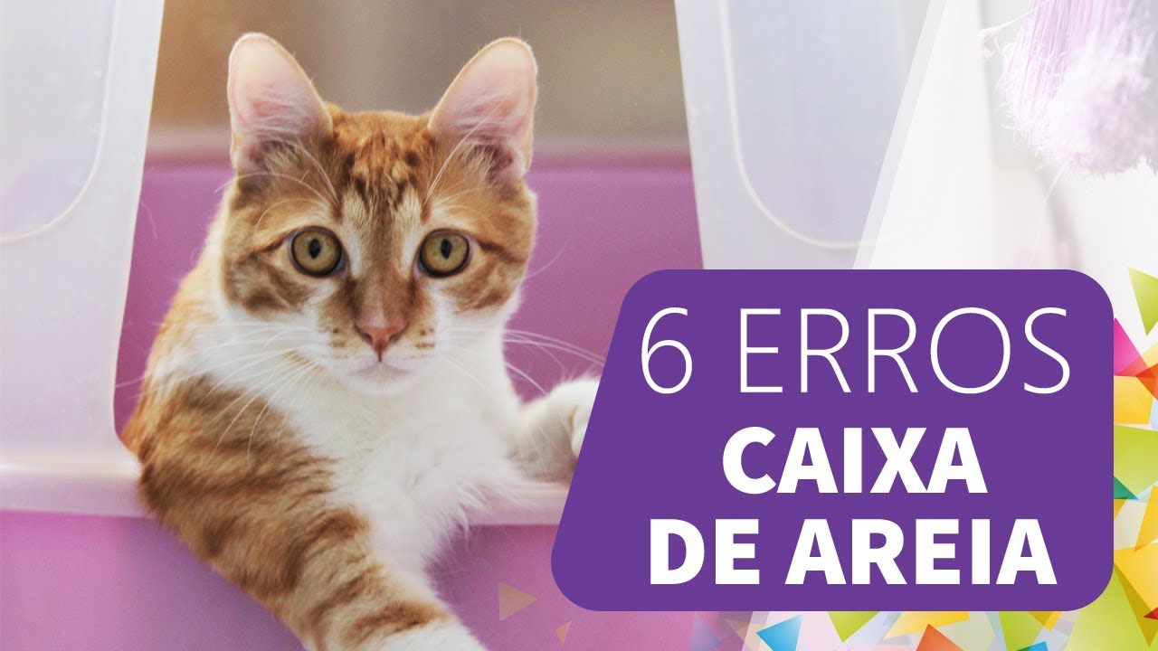 6 ERROS super comuns COM A CAIXA DE AREIA