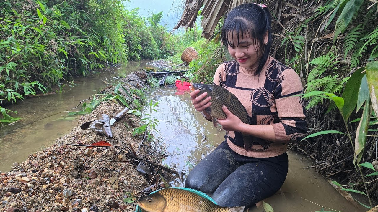 Lucky day I caught a giant carp | Tiểu Liễu-17 year old