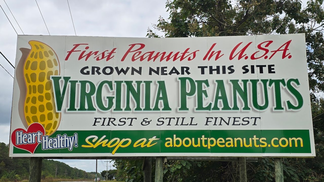 Virginia Peanuts Started In The 1600s! Here's A 4th Generation Farmer