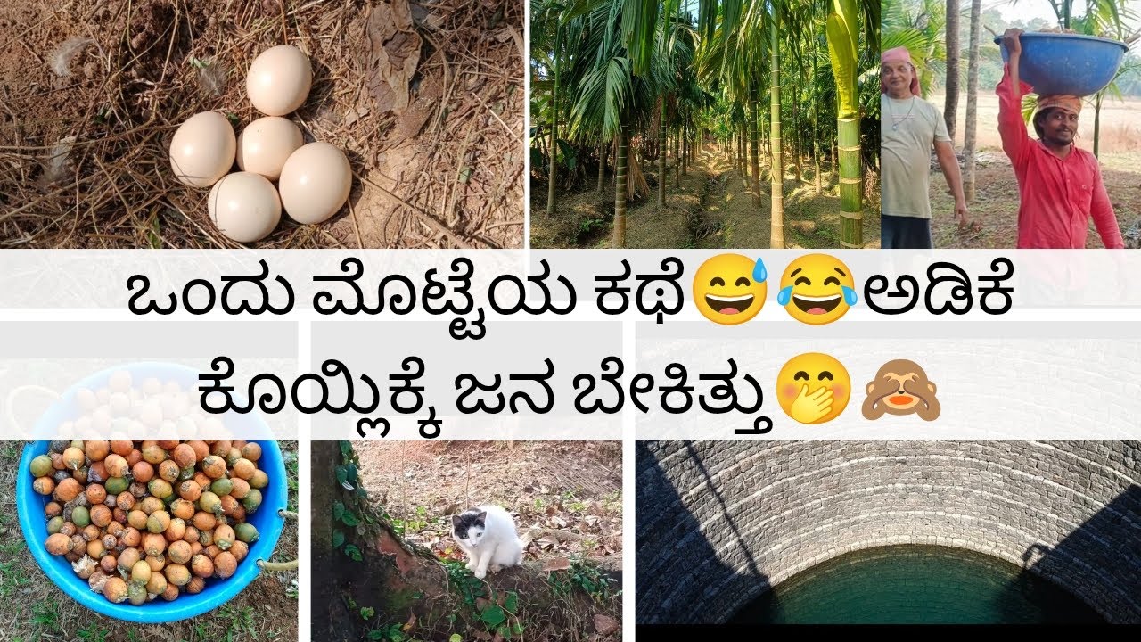 ಒಂದು ಮೊಟ್ಟೆಯ ಕಥೆ 😅🤣Adike koylikke Jana bekithu😜🤭Souza vlogs||kannada vlogs