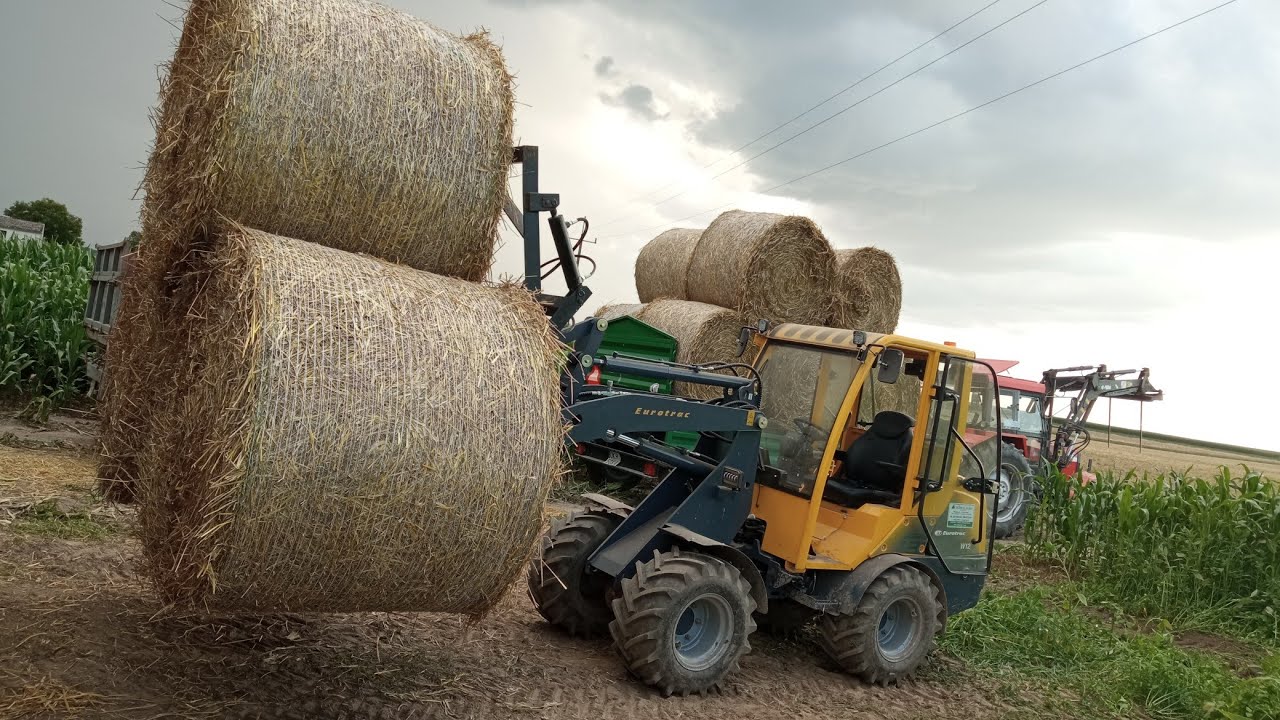 Ciężki załadunek obornika 2021 Nowym Nabytkiem Eurotrac W12s