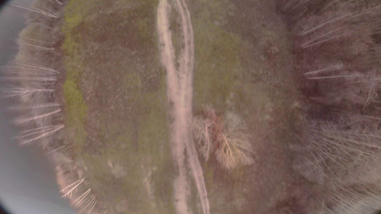 just a normal fpv trainingday