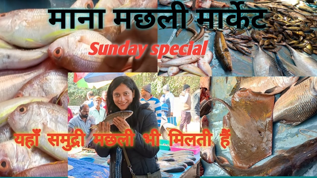 मछली मार्केट माना, रायपुर। सस्ती और ताजी मछलियां मिलाती है।। 