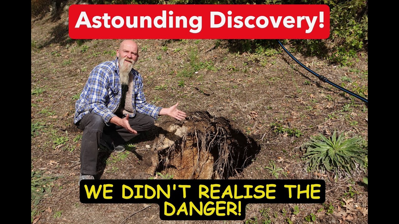 An Astounding Discovery Beneath Our Farm | We Didn’t Realise the Danger! Ep. 68