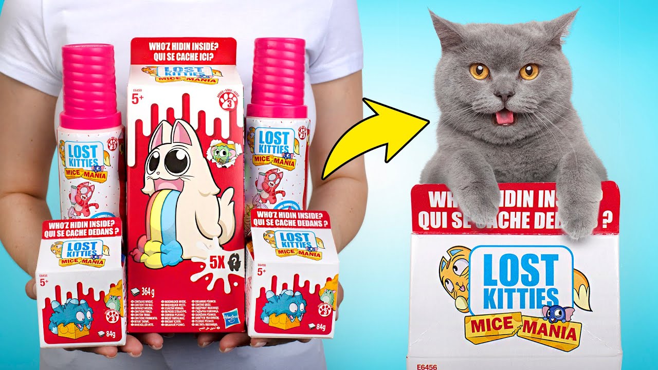 Wir öffnen neues Spielzeug von den Lost Kitties! | Wer versteckt sich da drin?🐁❤️🐈