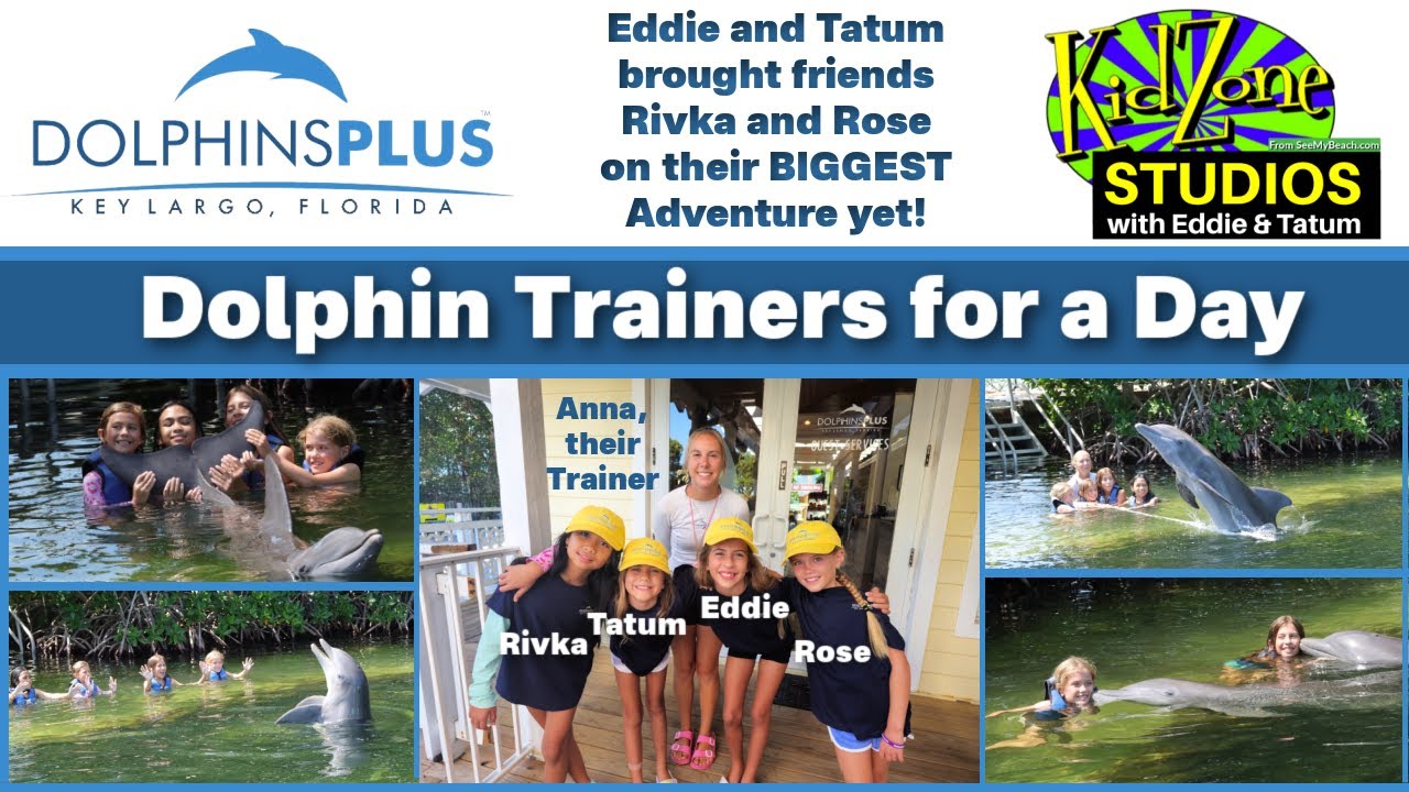 Dolphins Plus in Key Largo Trainer for a Day Adventure!