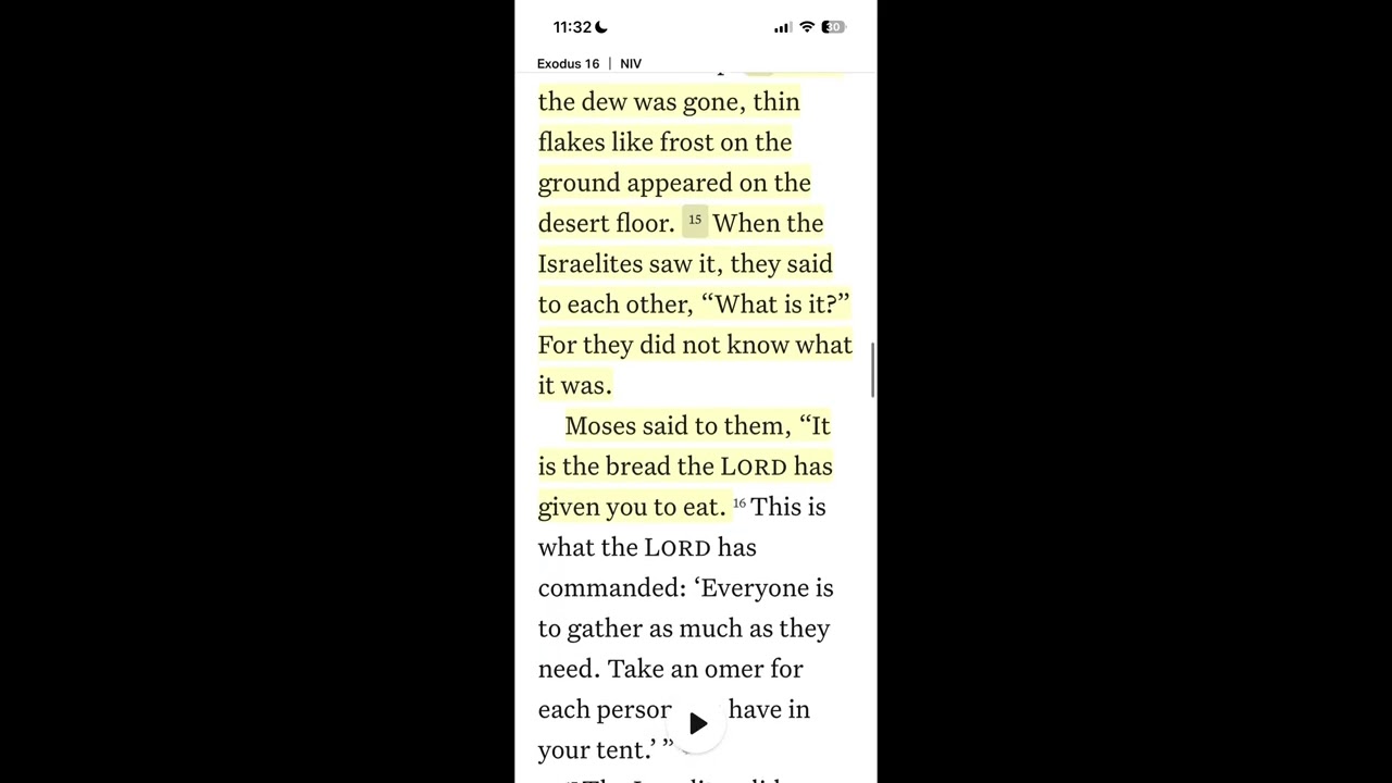 Feb 4 ~ Exodus 16