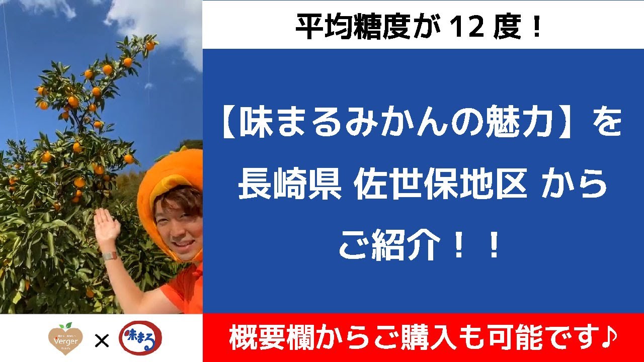 長崎西海みかんの魅力お届けします！