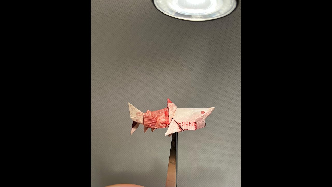 Shark (Wei Lin Chen)