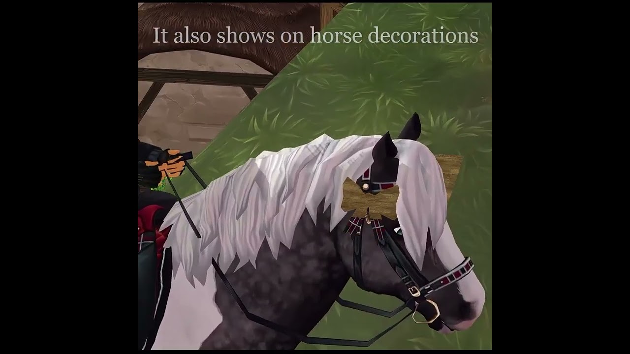 New update glitch (star stable)