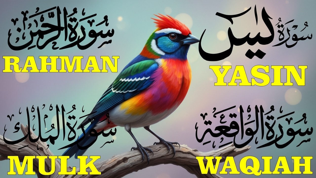 Beautiful Quran Recitation For Relax Your Mind | Surah Yaseen, Surah Rahman | Reciter Alaa Aqel Ep3