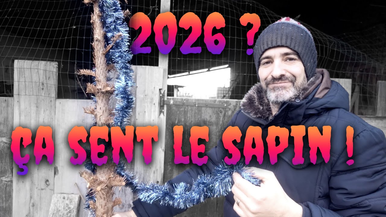 2026 - &Ccedil;A SENT LE SAPIN !! (pour ma cha&icirc;ne YouTube)