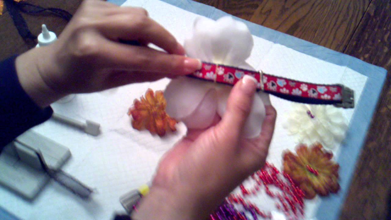Dog collar bows and flowers