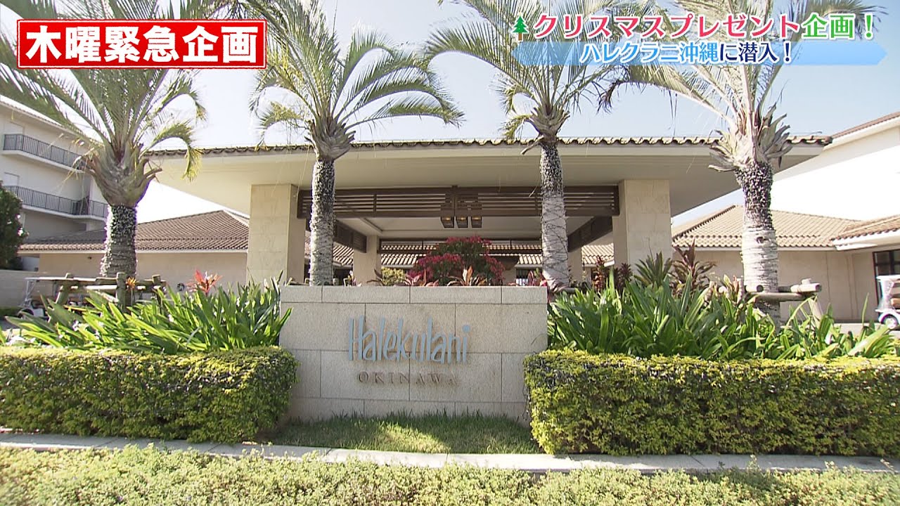 ハレクラニ沖縄に潜入