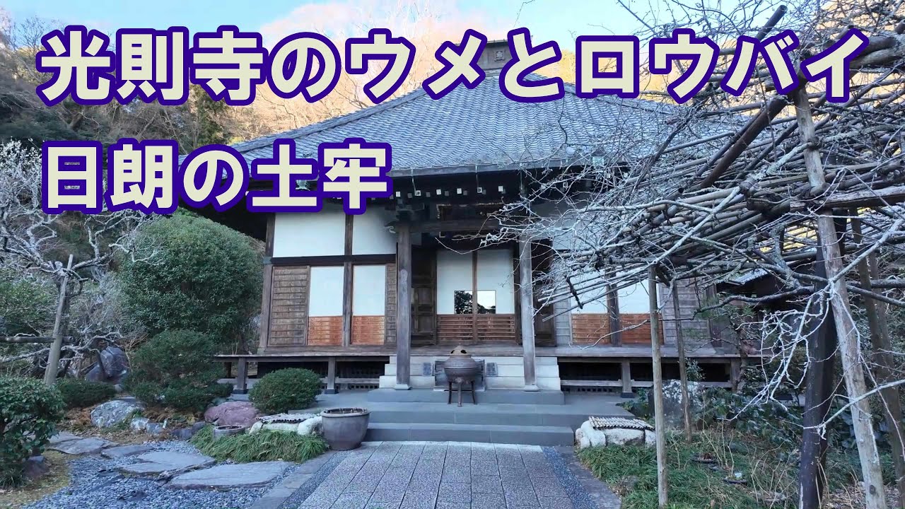 光則寺のウメとロウバイ　日朗の土牢　(鎌倉市長谷)
