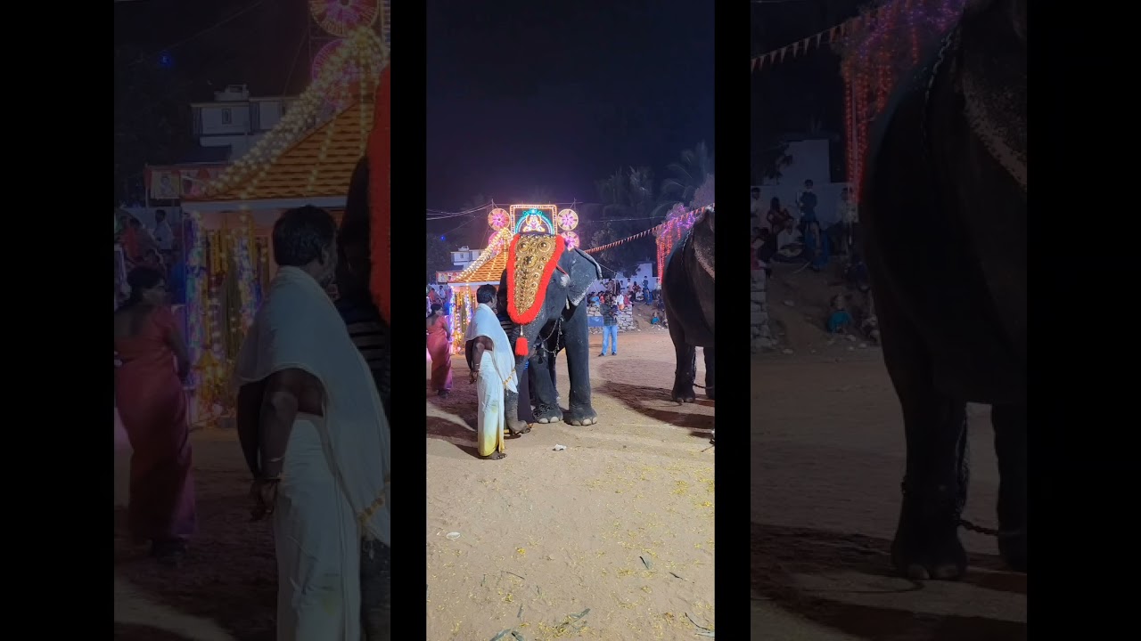 Anandhanagar Arulmigu Mayakrishnaswamy Thirukovil. 99th Thiruvizha starts on 18.02.2024.