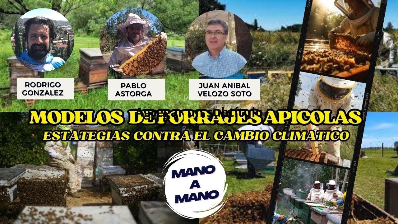 Modelos de forrajes apícolas para producción de material vivo de calidad y durante mas tiempo