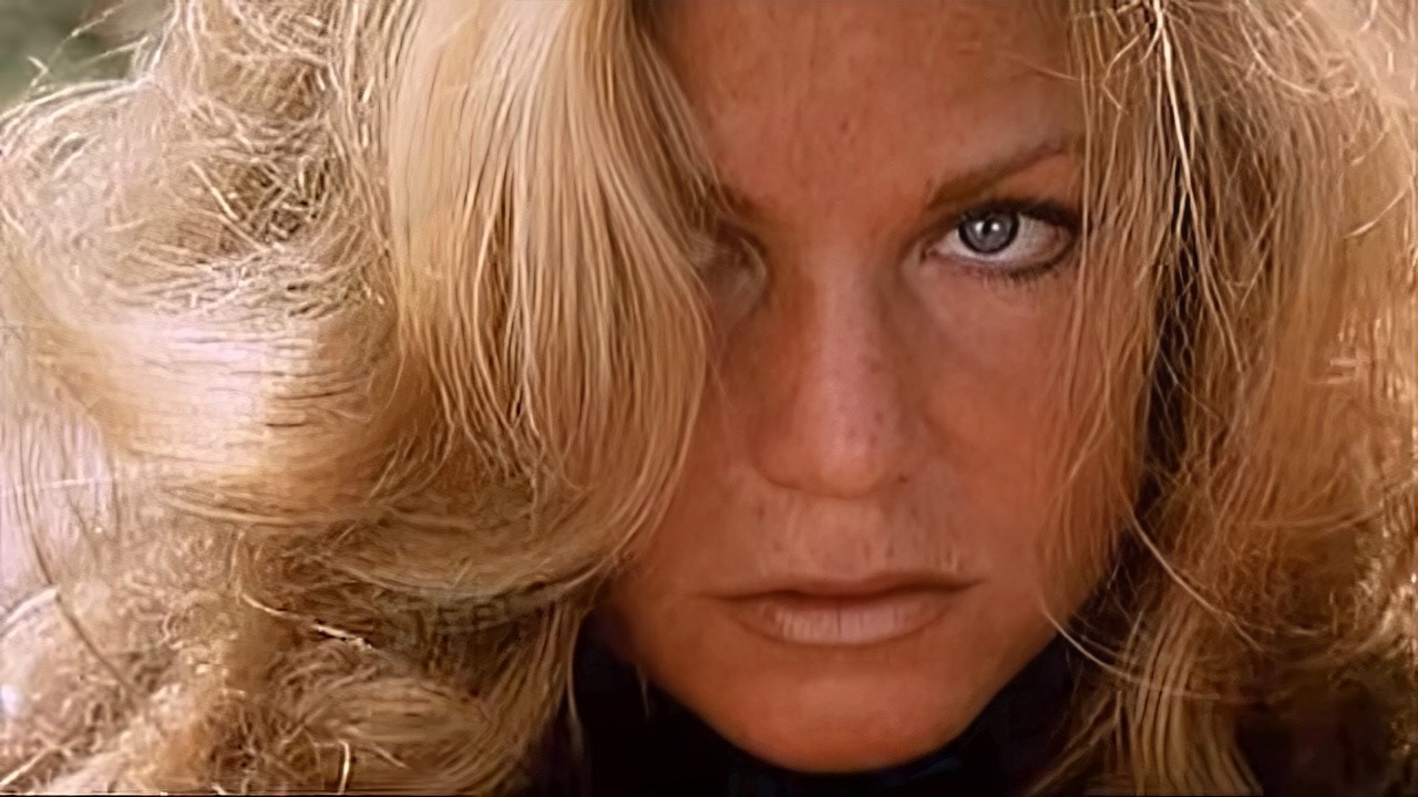 Because of the Cats (1973) by Fons Rademakers | Censored | Rich play dirty, justice bites back