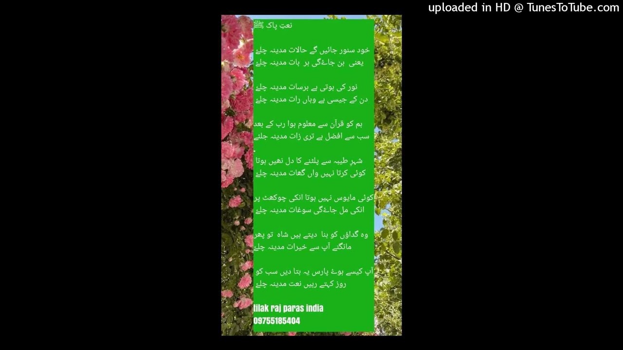 خود سنور جاینگے حالات مدینہ چلیے - Output - Stereo Out