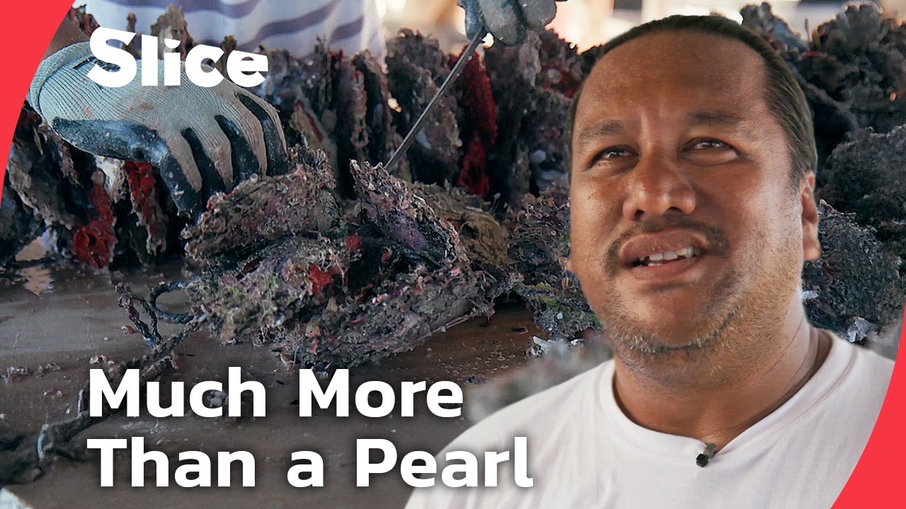 Tahiti’s Black Pearl: A Treasure Rooted in Tradition | SLICE | FULL DOCUMENTARY