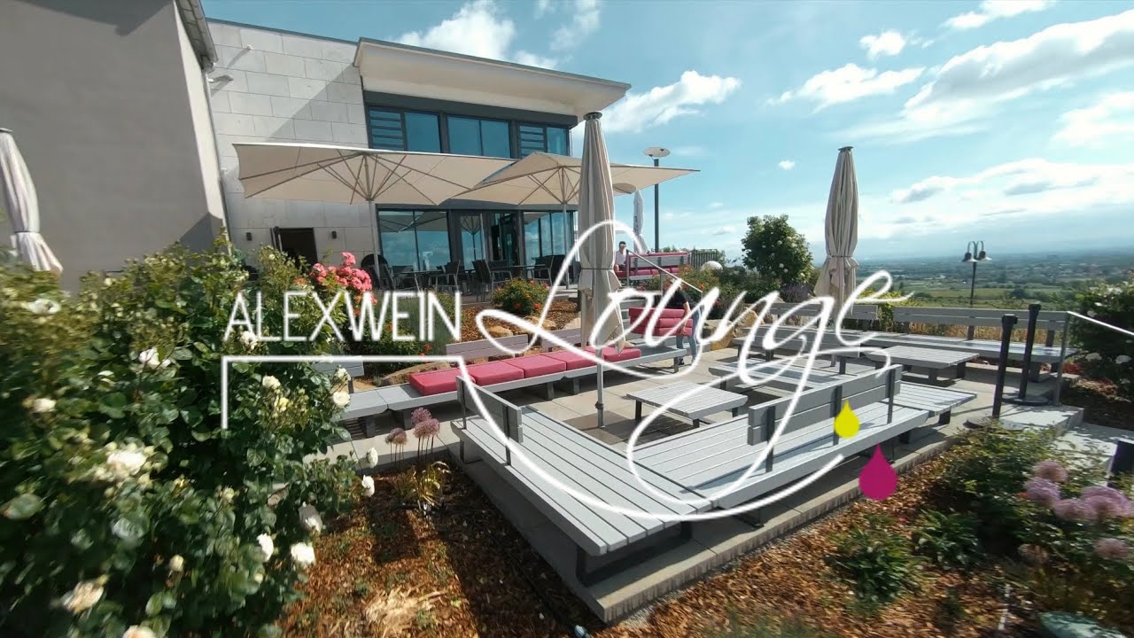 Weingut Alex Weinlounge - DS Aerial