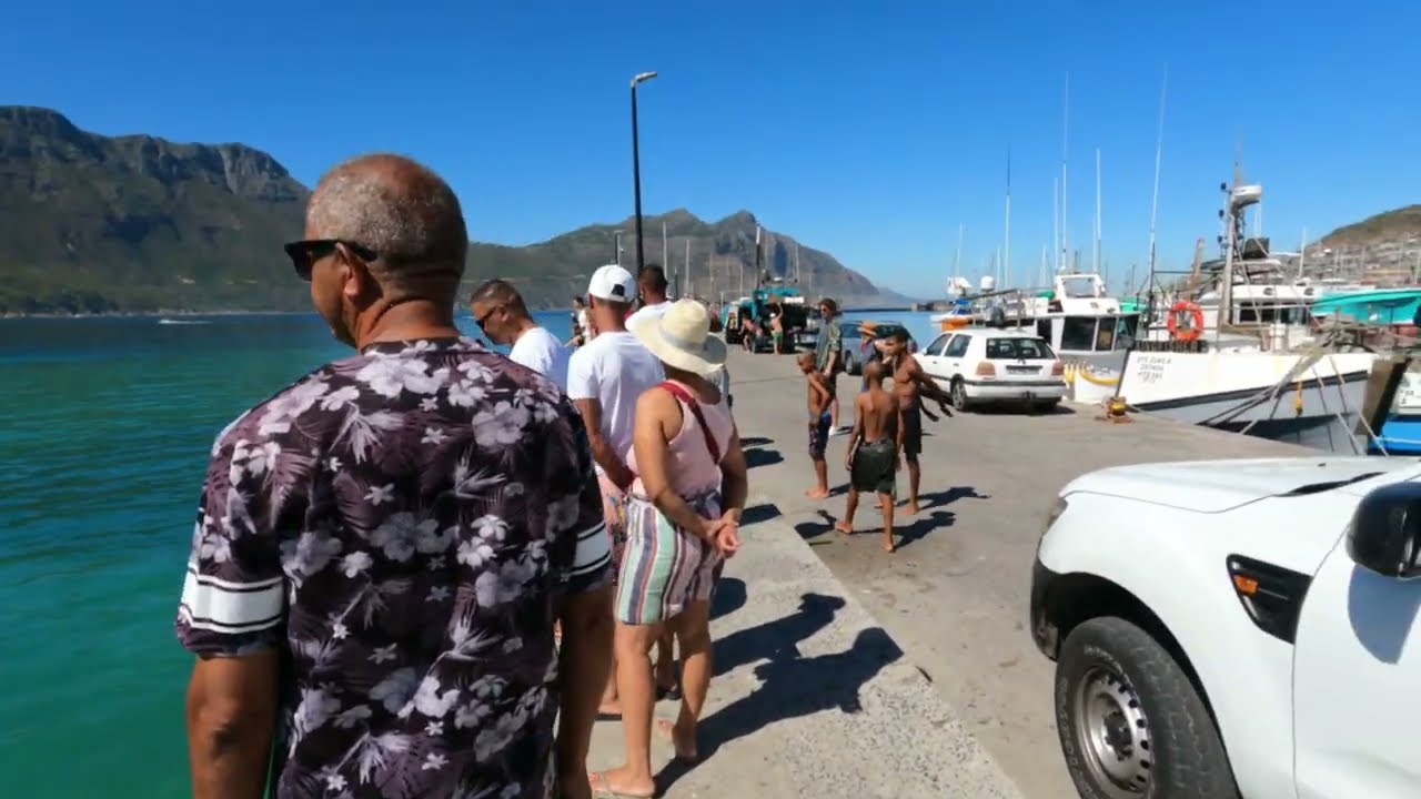 Hout Bay Harbour. Western Cape, South Africa!
