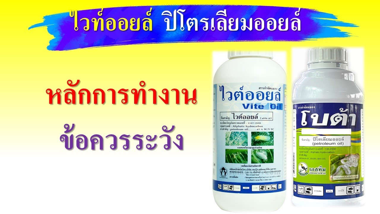 ไวท์ออยล์ และ ปิโตรเลียมออยล์......ใช้อย่างไรดี (กำจัดแมลงศัตรูพืชมีพิษน้อย)
