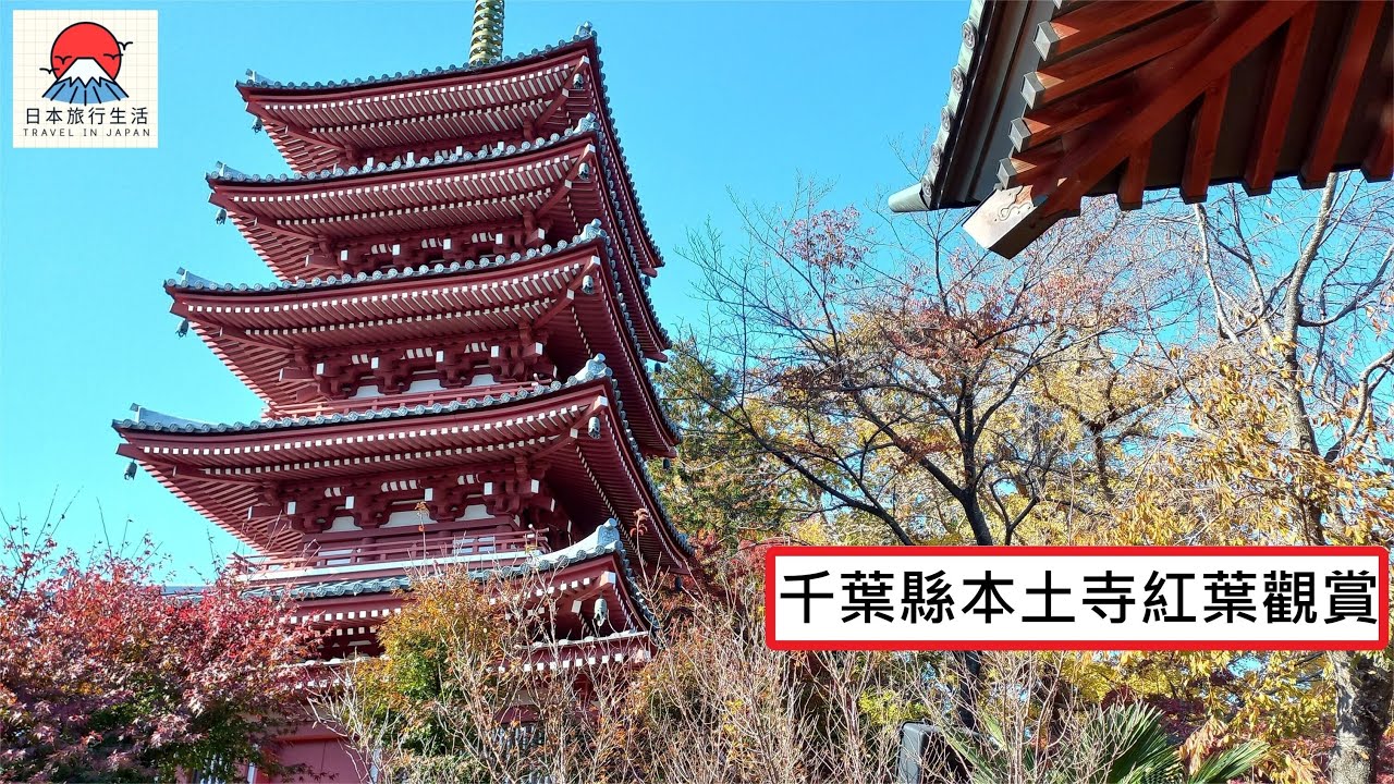 千葉縣本土寺紅葉觀賞
