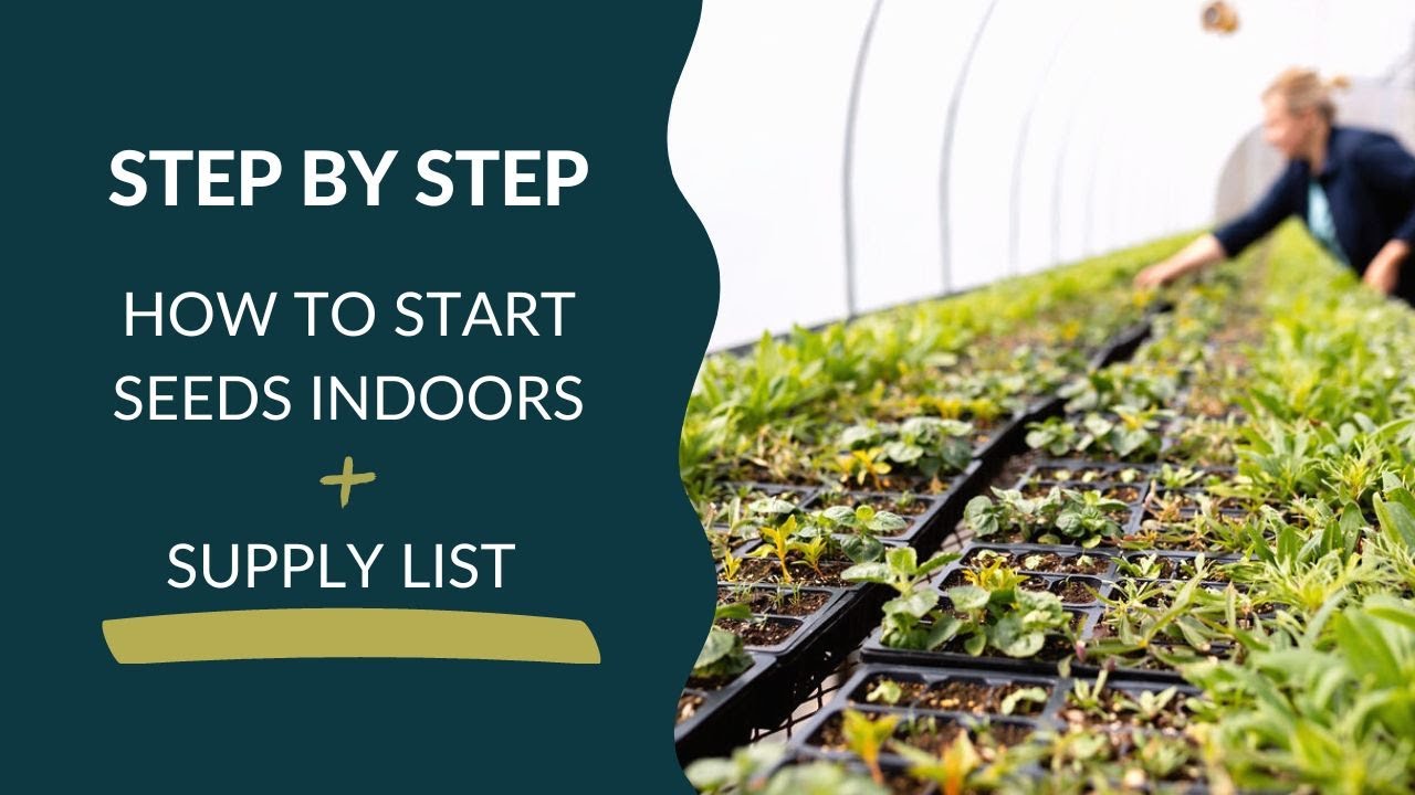 Step-by-Step: How to Start Flower Seeds Indoors for a Beautiful Garden