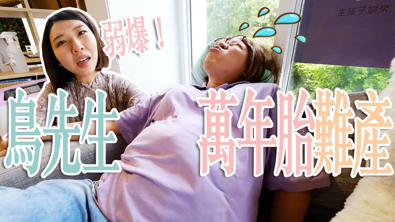 【鳥先生&鳥夫人】鳥家再生一胎？爸爸媽媽一日角色互換！第一次挑戰鳥夫人就帶鳥先生來這！鳥先生看到冷汗直流