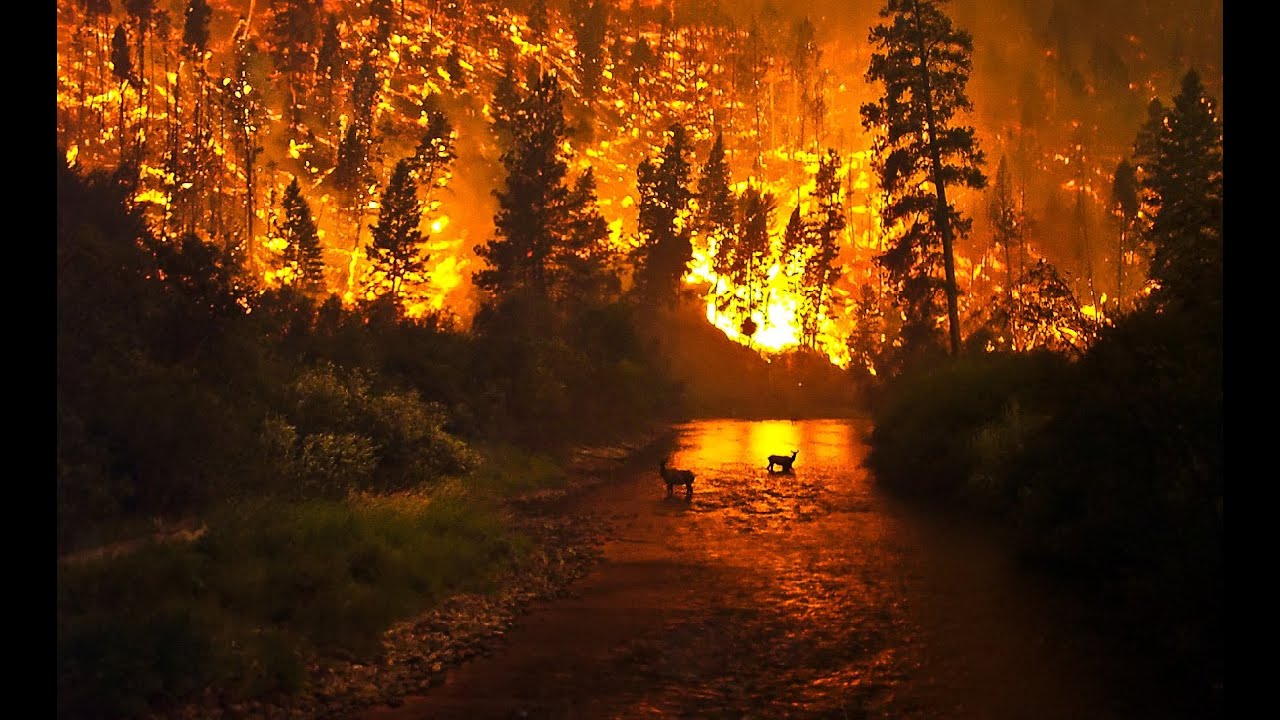 The Smokejumpers & Firefighters Wildfire Tribute