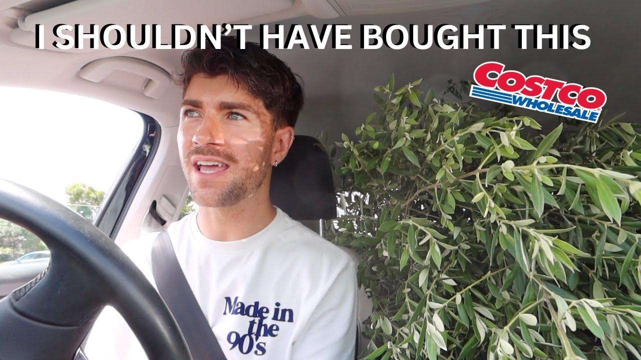 I BOUGHT A GIANT OLIVE TREE | COSTCO COME SHOP WITH ME & HAUL