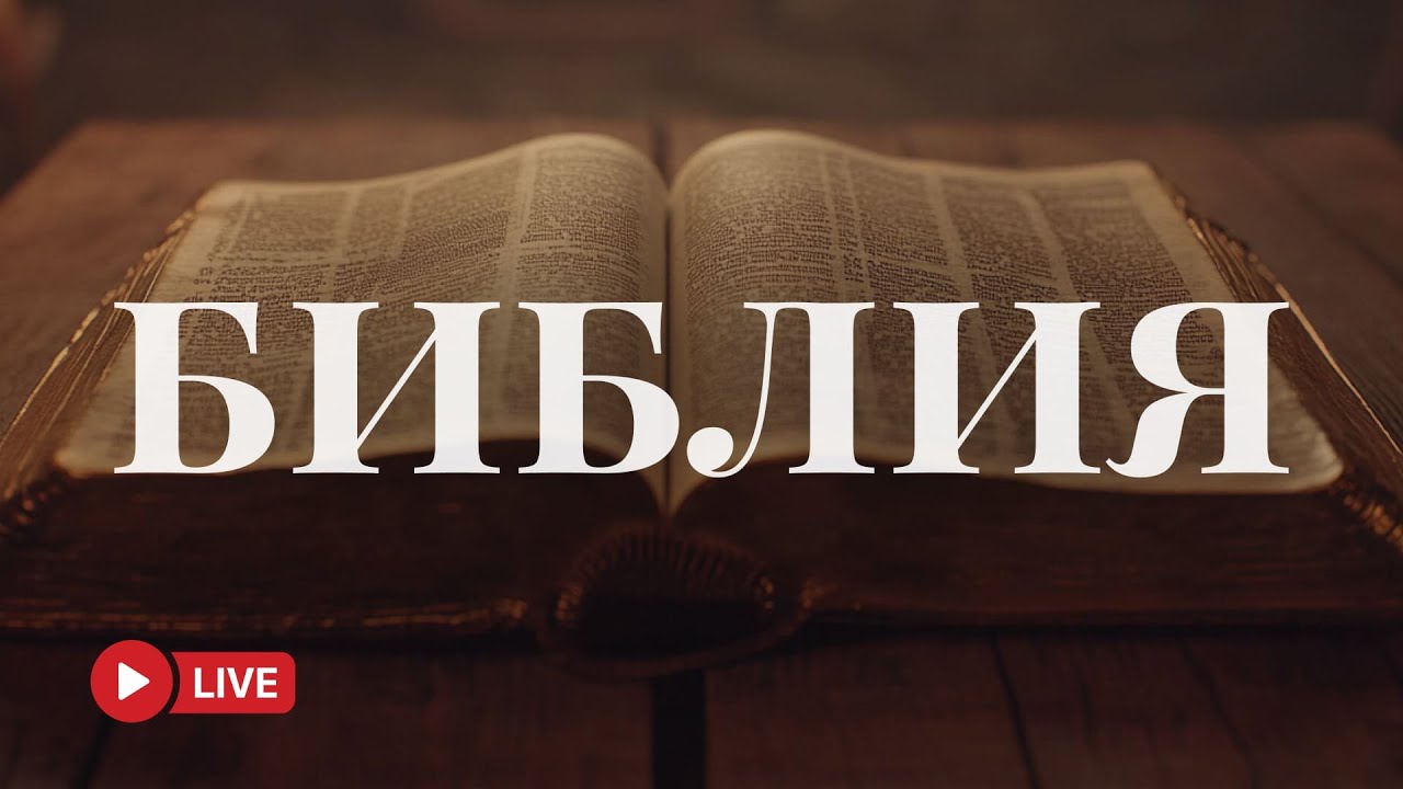 Чтение Библии 24/7 — Свет в жизни верующего 🔴 BibleVision Прямой Эфир