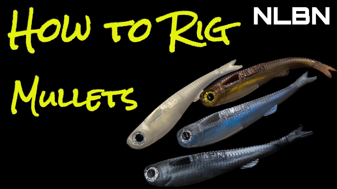 NLBN: How To Rig Mullets