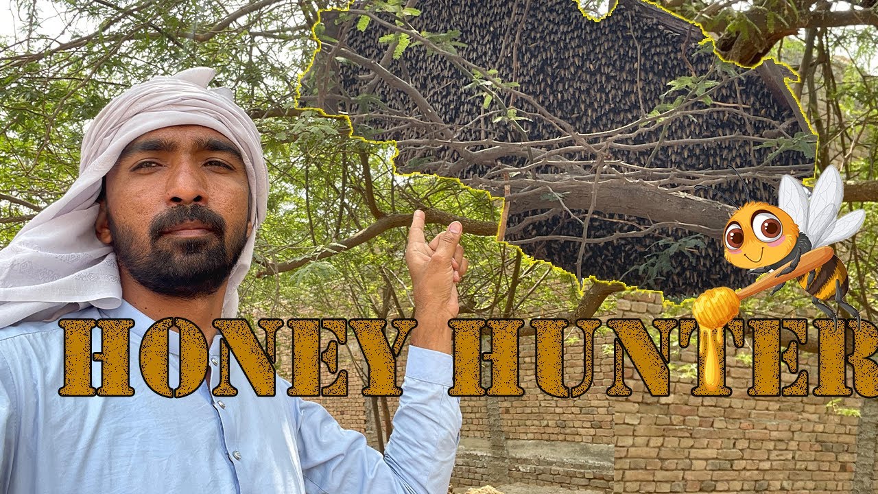Honey Hunting in Pakistan: Exploring a Dangerous World