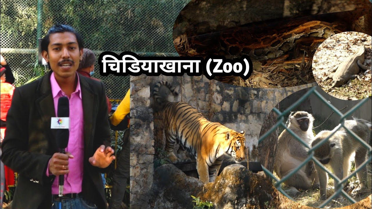 चिडियाखानामा भेटियो अनौठो जनावर काठमाडौंमा रहेको सुन्दर चिडियाघर/Kathmandu Zoo