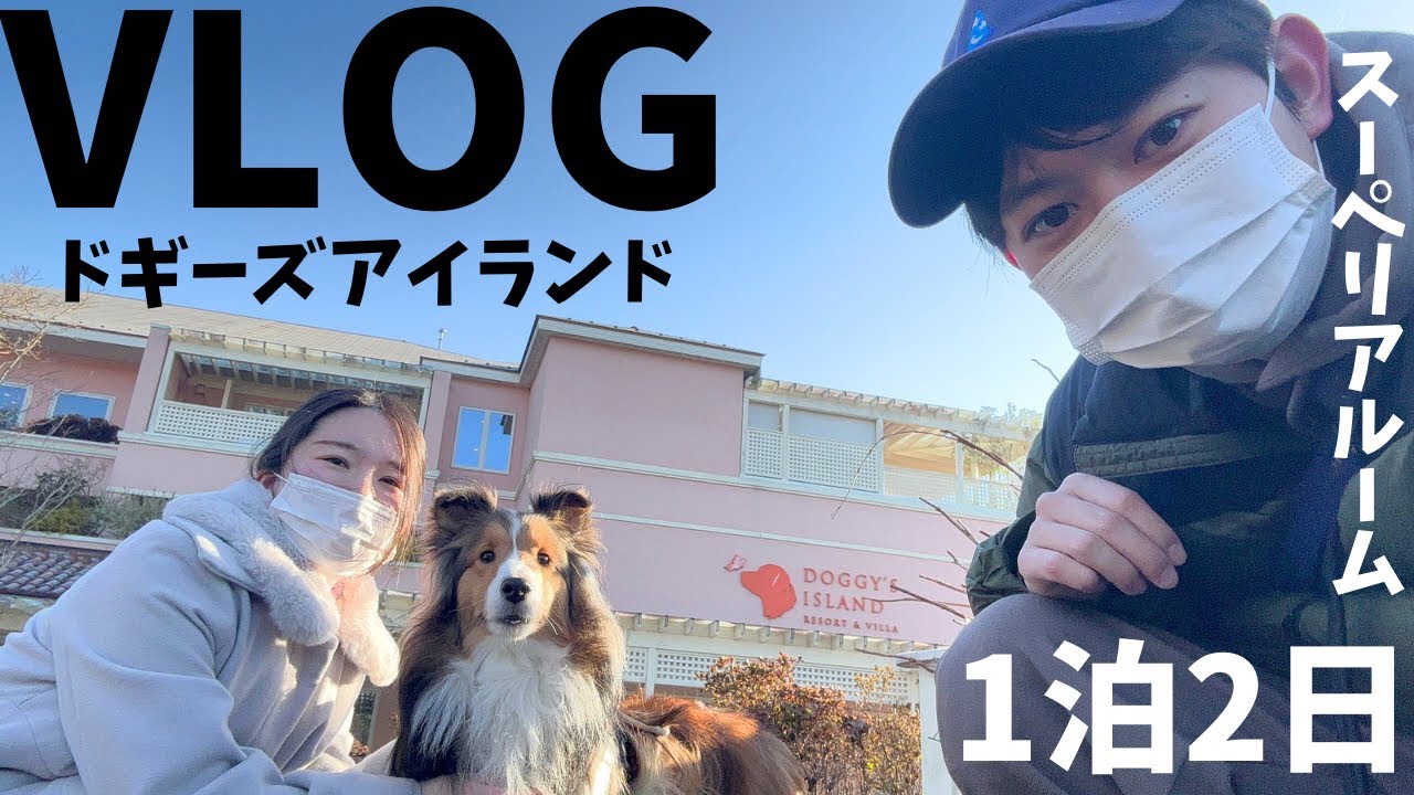 ドギーズアイランドで1泊2日🐶スーペリアルームで広々のんびりできました😆✨