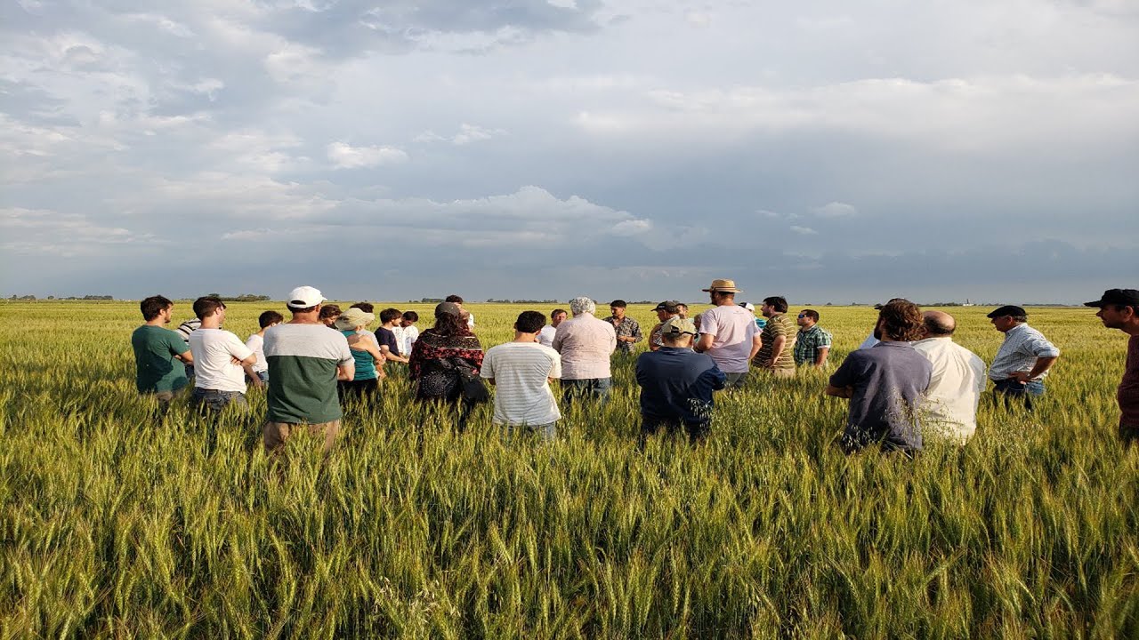 Marco Conceptual de la Agroecología en Argentina y los principios que la componen.