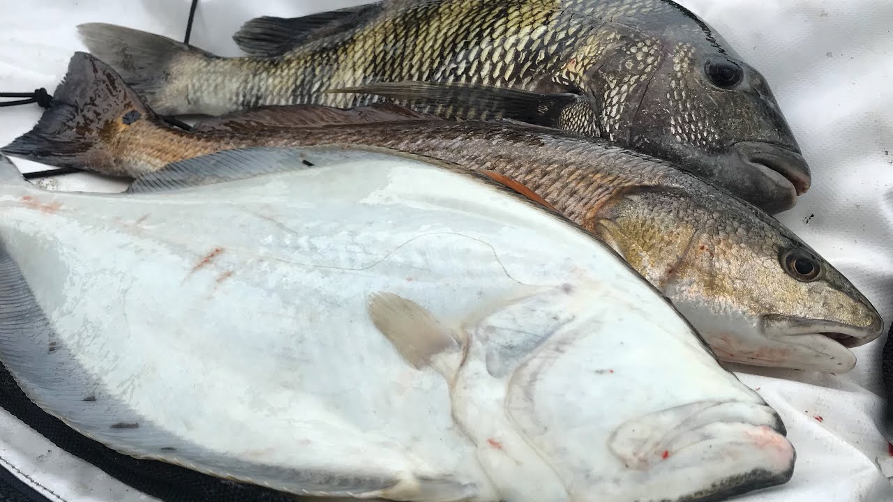 CATCH & COOK: The Frying Pan SLAM! (Sweet & Sour)
