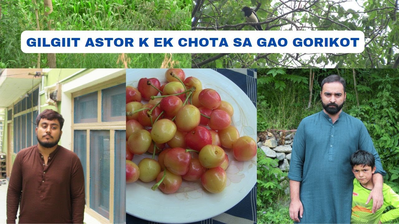 GILGIT ASTOR KA EK CHOTA SA GAO GORIKOT{ASTOR VILLAGE LIFE STYLE }{NATURAL VIEW IN GILGIT BALTISTAN}