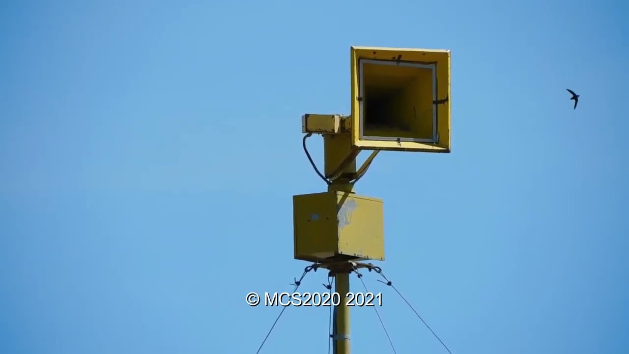 Federal Signal | Thunderbolt 1003