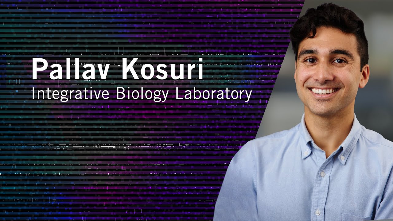 From Then to When | Meet Salk Scientists | Pallav Kosuri