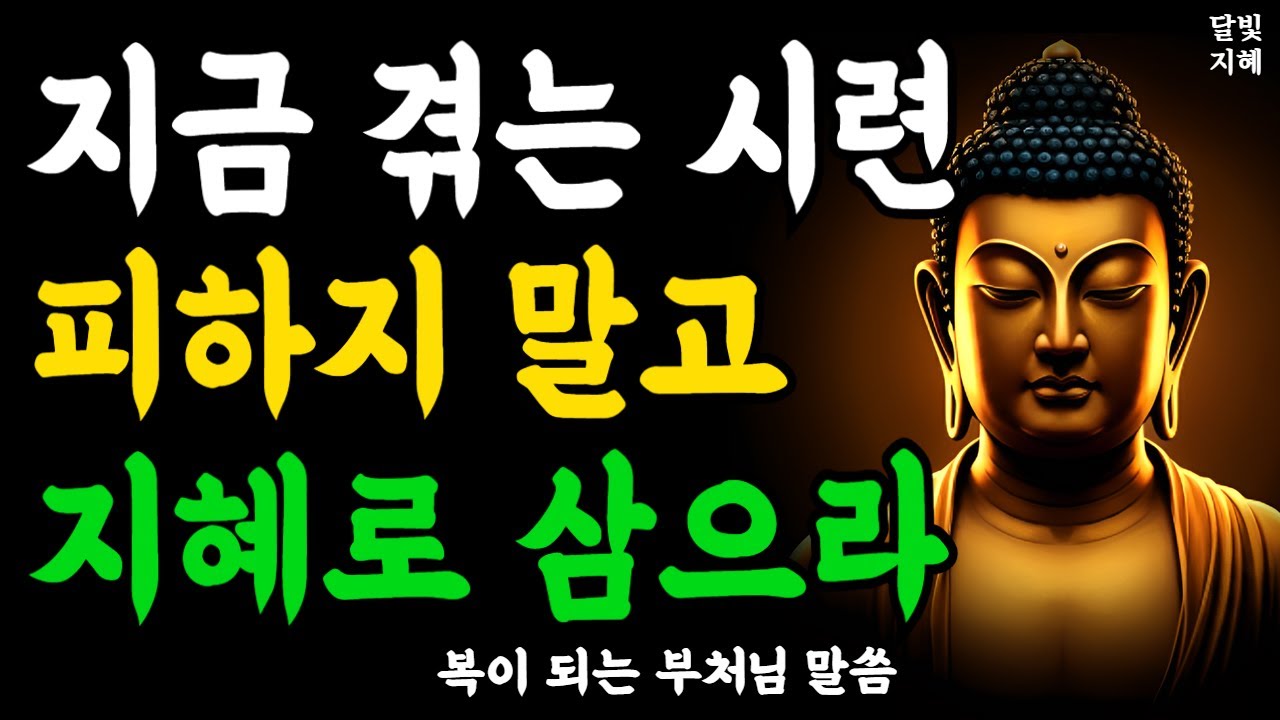 지금 겪는 시련과 고통 피하지 말고 지혜로 삼으라ㅣ부처님 말씀ㅣ불교 명언ㅣ석가모니 가르침ㅣ반야심경