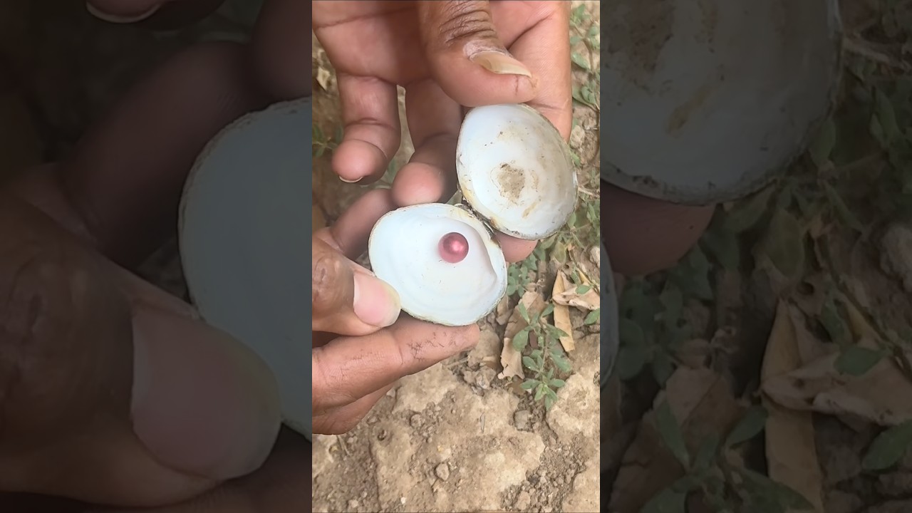The perfection of the red pearl #outdoors #pearlhunter #crystals