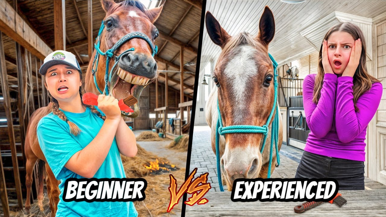 Beginner vs. Experienced Horse Owners – It Got Wild!