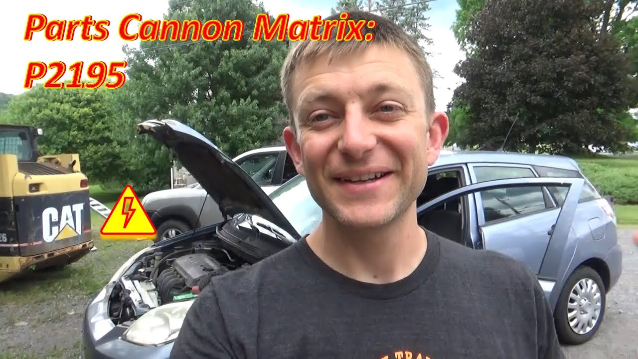 Parts Cannon Matrix: P2195