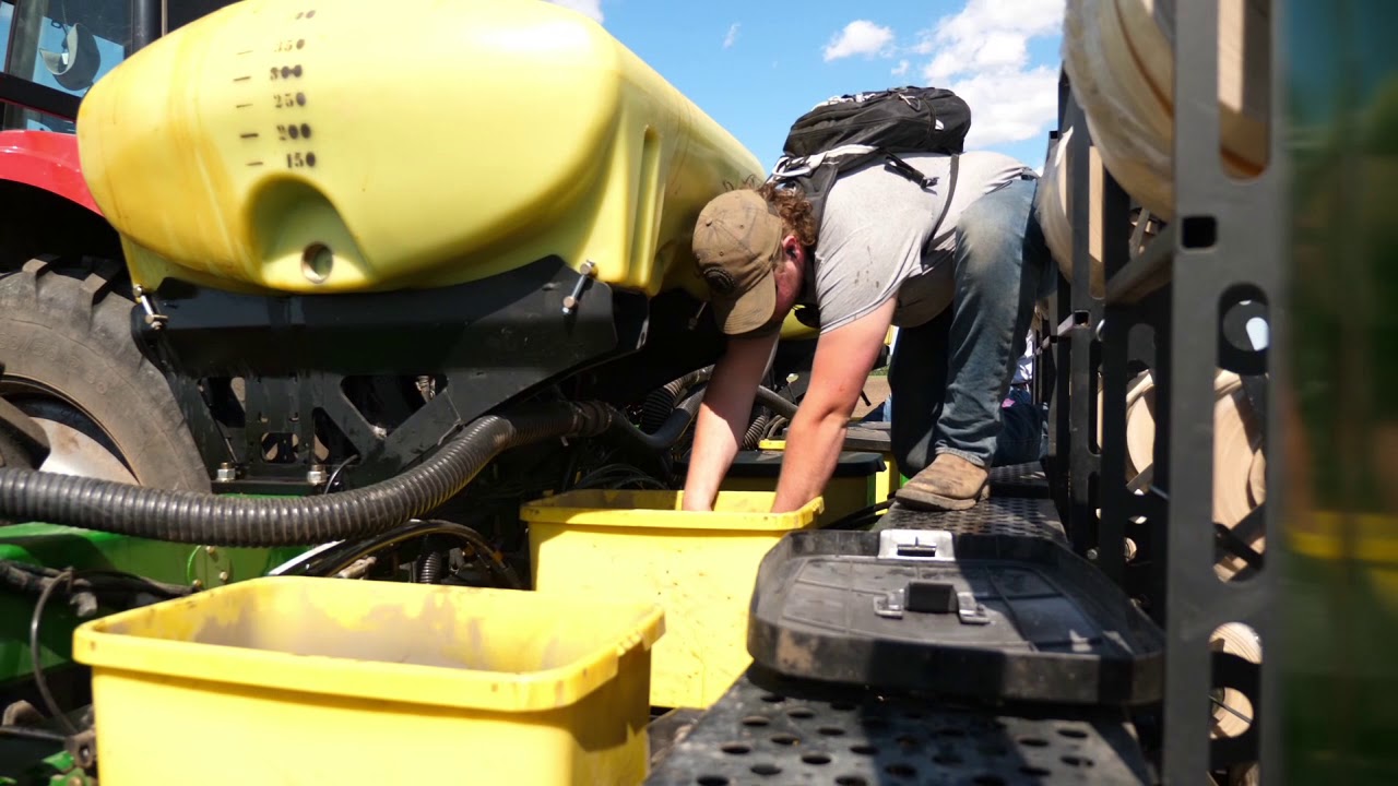 Mechanized CBD Hemp Cultivation: Experiences and Lessons Learned from 2019