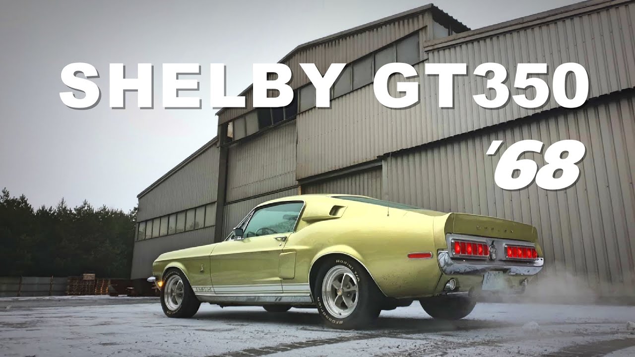 Mustang SHELBY GT 350 COBRA 1968 Mustangclassic 25.01.2021 Końskie // Pegasus IQ-502 ERICSSON FH 212