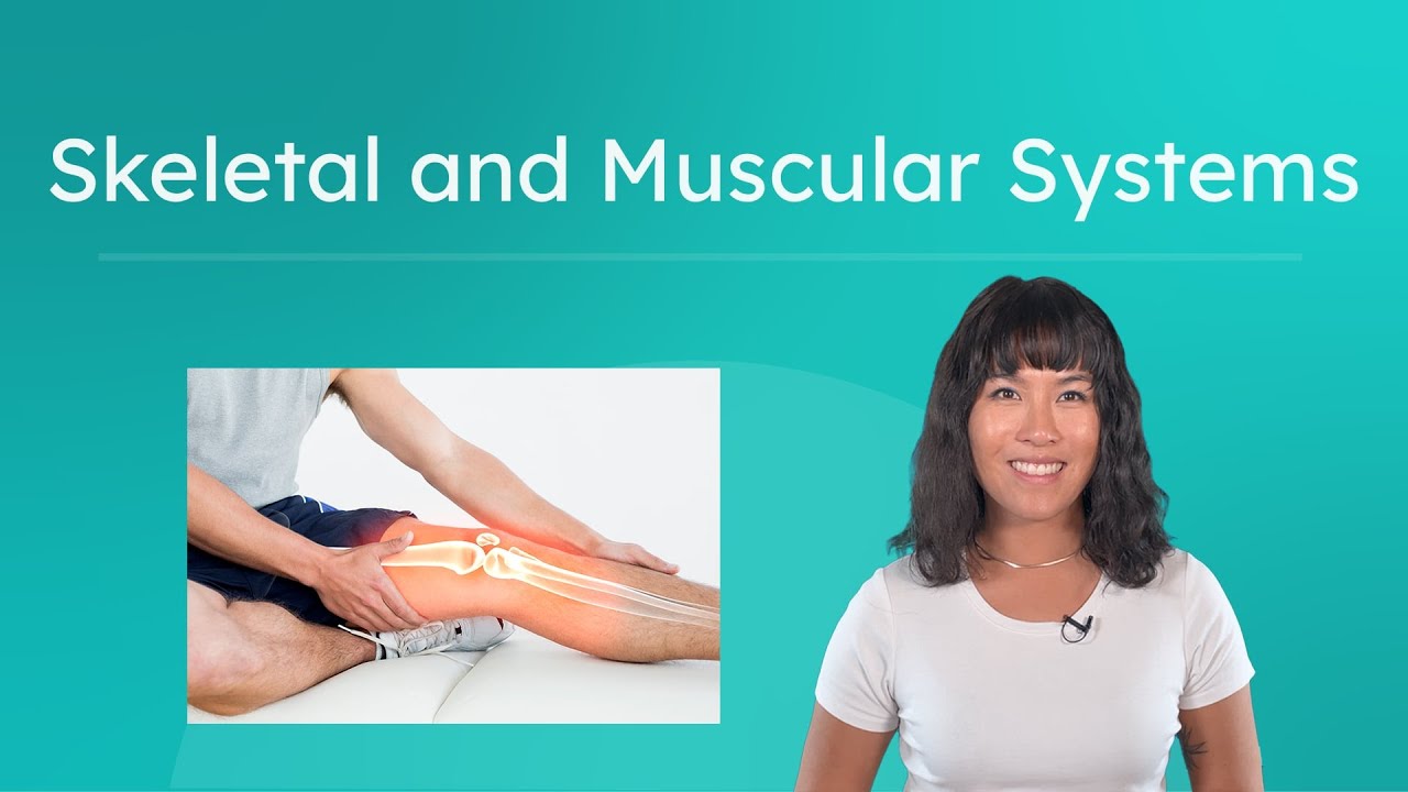 Skeletal and Muscular Systems - Structure, Function, and Movement