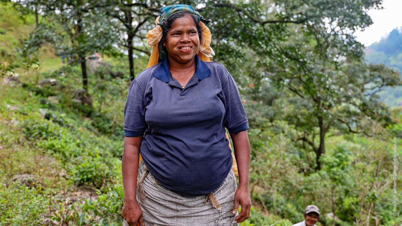 Srilanka eine Bilderreise